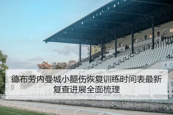 de-bu-lao-nei-man-cheng-xiao-tui-shang-hui-fu-xun-lian-shi-jian-biao-zui-xin-fu-cha-jin-zhan-quan-mian-shu-li-2-745.jpg