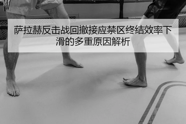 sa-la-he-fan-ji-zhan-hui-che-jie-ying-jin-qu-zhong-jie-xiao-lv-xia-hua-de-duo-zhong-yuan-yin-jie-xi-2-863.jpg